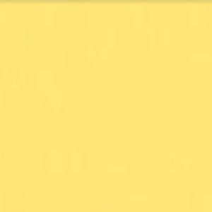 Meet your Posher, Madelyn